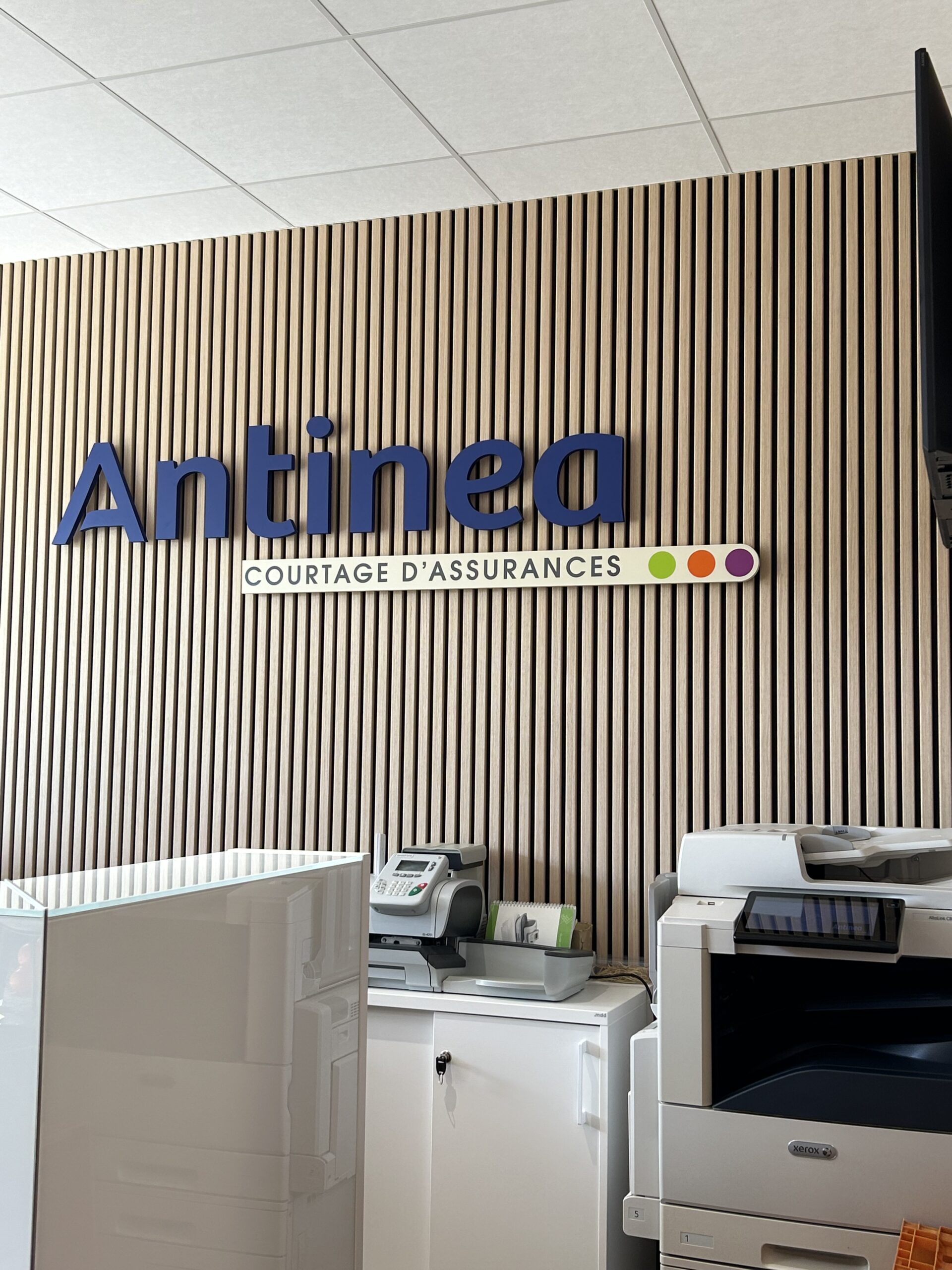 Antinea img