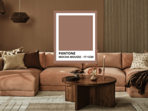 Couleur Pantone 2025